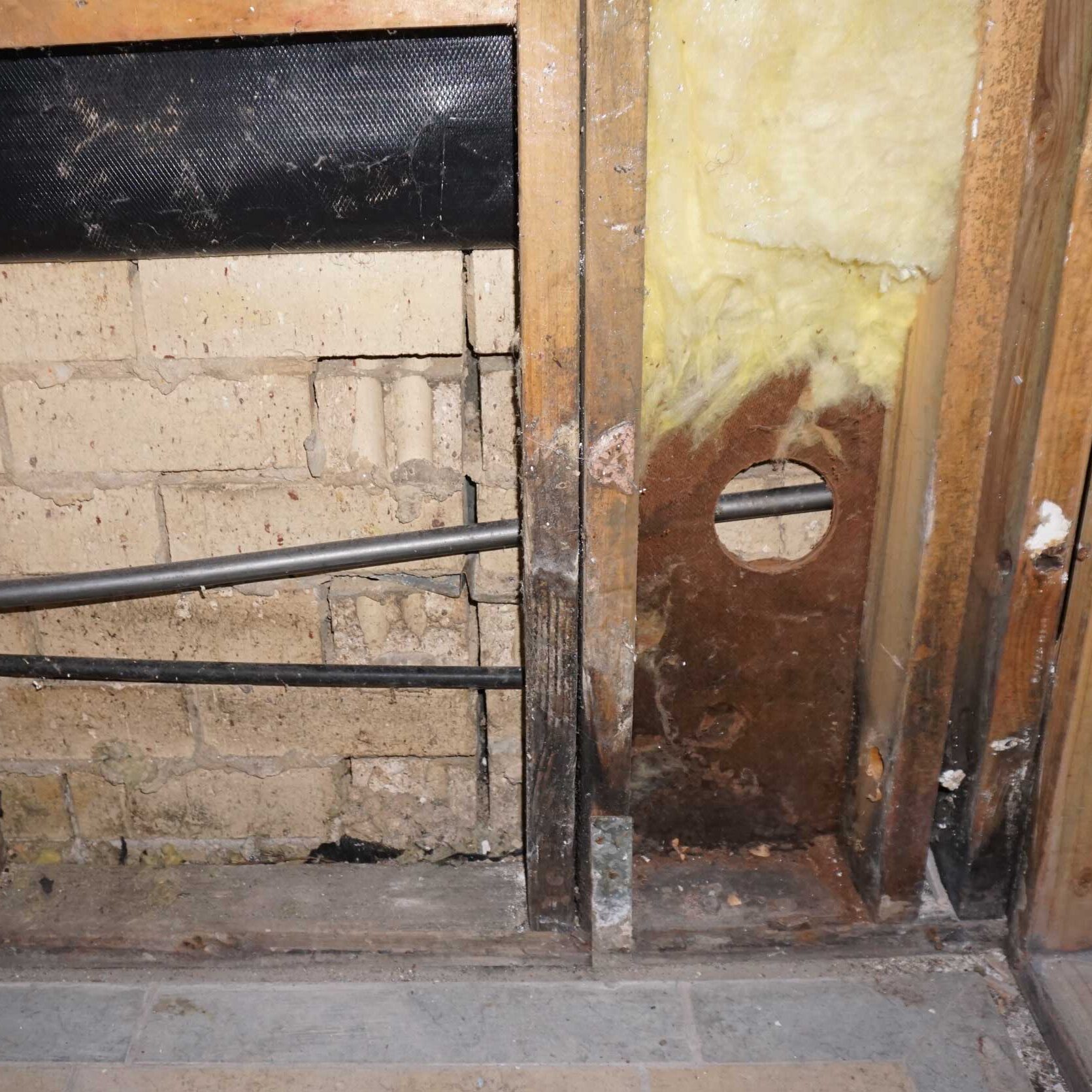 flood water damage to structural timber - Mould inspection and assessment